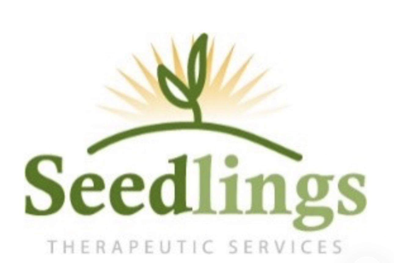 Seedlings Therapeutic Services